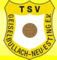 TSV Geiselbullach II