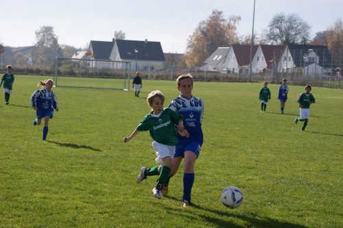 Kleinfeldergebnisse vom Wochenende