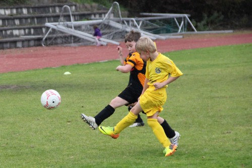 U9 – Erneuter Auswärtssieg beim Punktspiel in Emmering