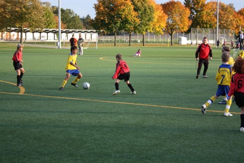 Rugby oder Hallenhalma? Oder-wann macht Fußball keinen Spaß?
