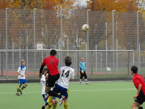 Unser Großfeld: In den Schlussspurt erfolgreich gestartet