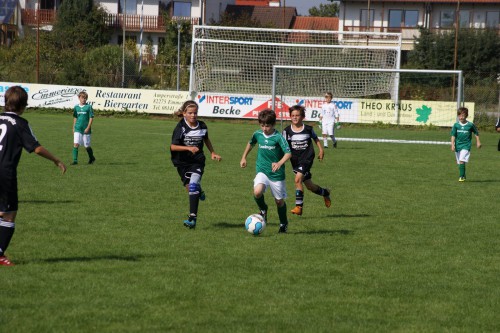 Kleinfeld Ergebnisse vom Wochenende (Stand 27.09.2011)